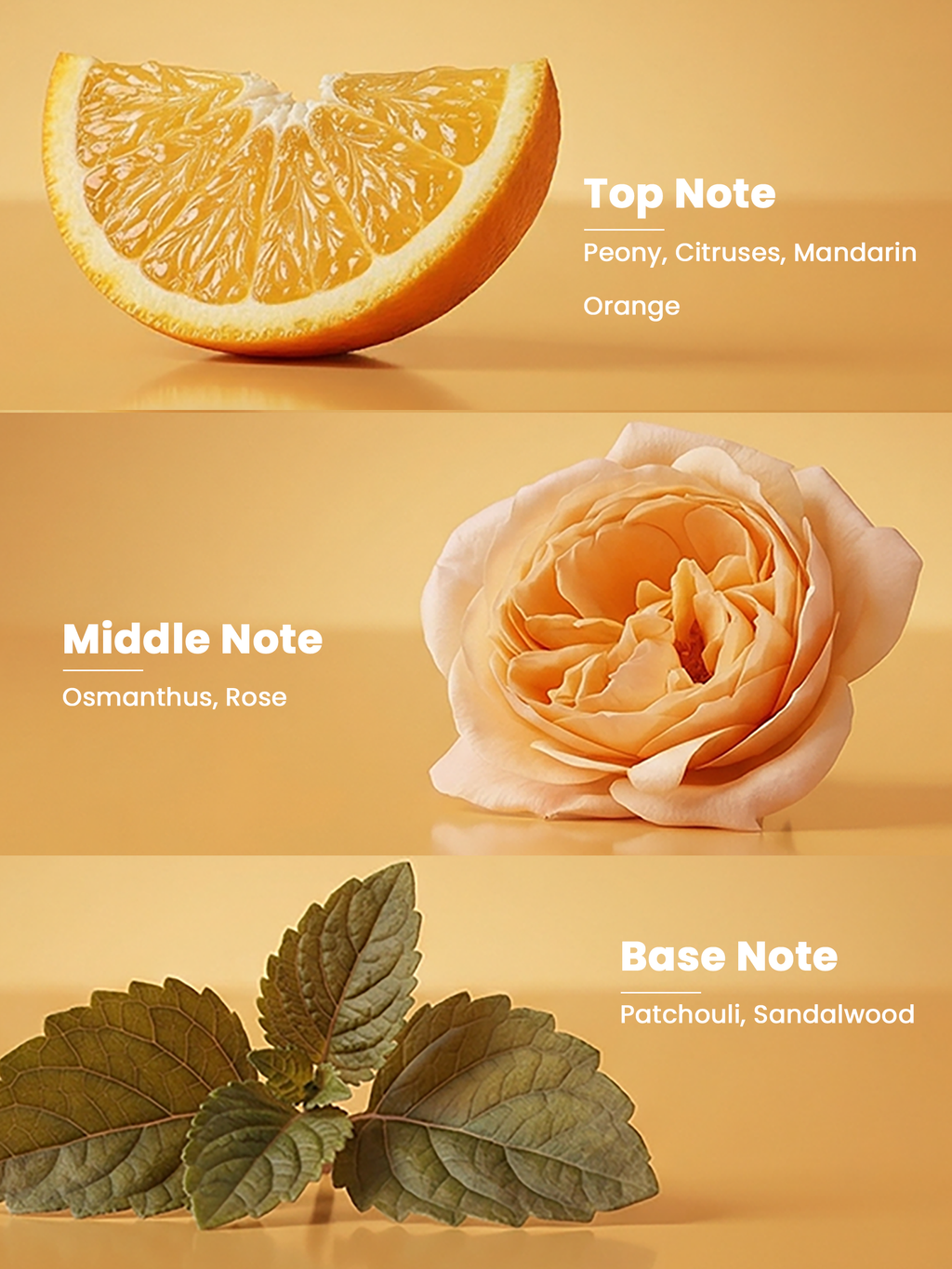 LIMONE 50ML